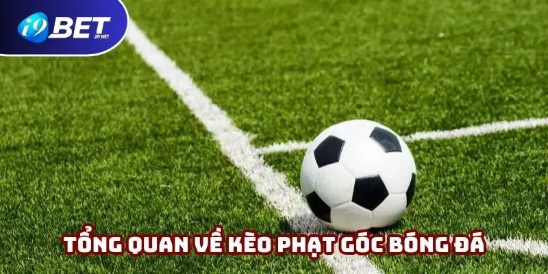 Vài thông tin cần nắm về cược phạt góc